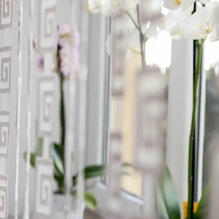 아파트 Apartament Oliwia